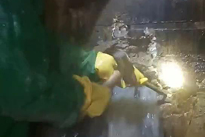 船营消防水池堵漏施工视频